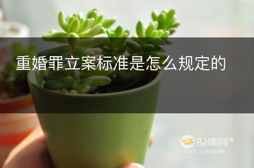 重婚罪立案标准是怎么规定的