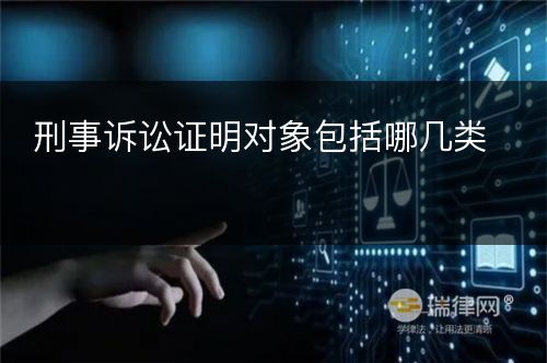 刑事诉讼证明对象包括哪几类