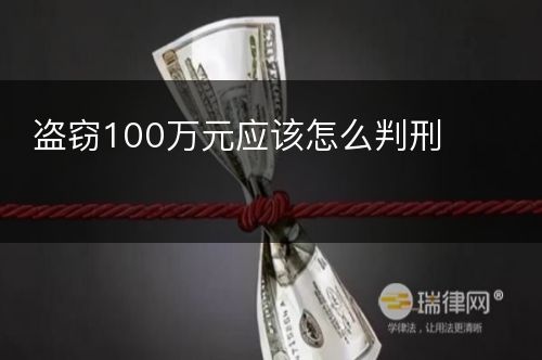 盗窃100万元应该怎么判刑