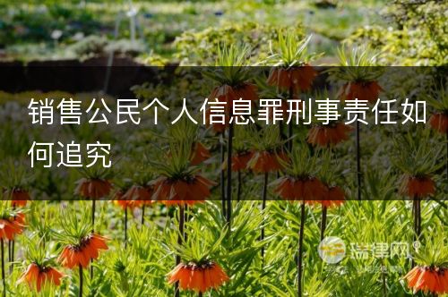 销售公民个人信息罪刑事责任如何追究