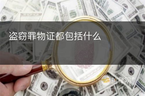 盗窃罪物证都包括什么