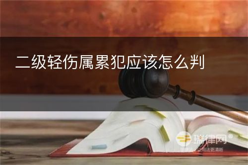 二级轻伤属累犯应该怎么判