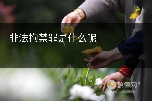 非法拘禁罪是什么呢