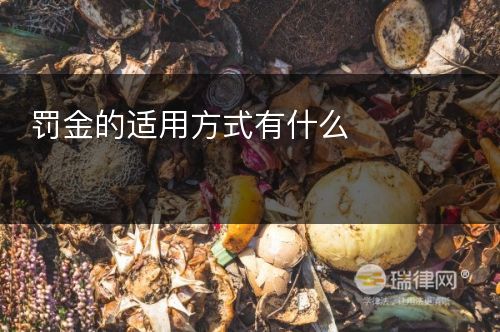 罚金的适用方式有什么