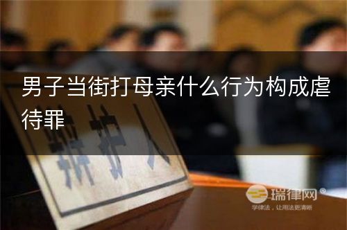 男子当街打母亲什么行为构成虐待罪