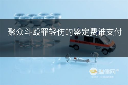 聚众斗殴罪轻伤的鉴定费谁支付