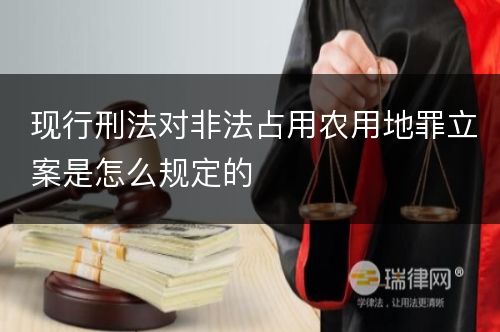 现行刑法对非法占用农用地罪立案是怎么规定的