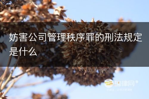 妨害公司管理秩序罪的刑法规定是什么