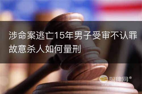 涉命案逃亡15年男子受审不认罪故意杀人如何量刑