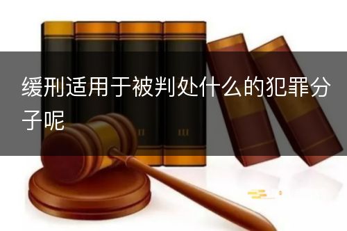 缓刑适用于被判处什么的犯罪分子呢