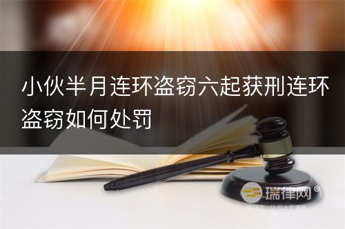 小伙半月连环盗窃六起获刑连环盗窃如何处罚