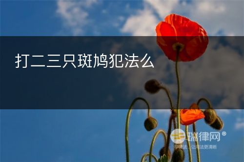 打二三只斑鸠犯法么