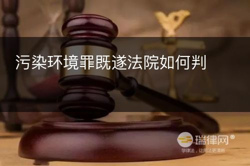 污染环境罪既遂法院如何判