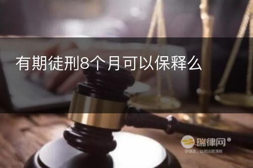 有期徒刑8个月可以保释么