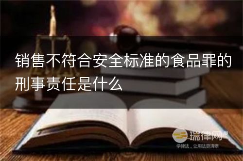 销售不符合安全标准的食品罪的刑事责任是什么