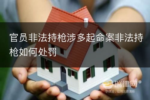 官员非法持枪涉多起命案非法持枪如何处罚