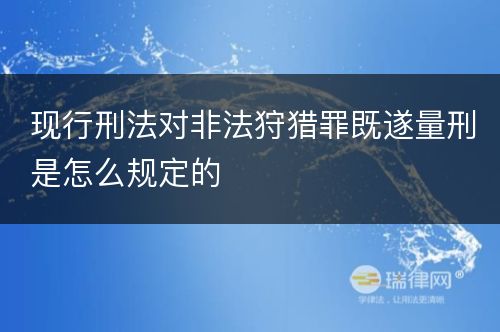 现行刑法对非法狩猎罪既遂量刑是怎么规定的