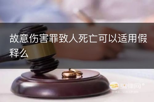 故意伤害罪致人死亡可以适用假释么