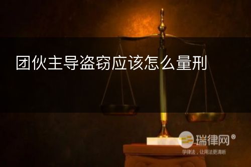 团伙主导盗窃应该怎么量刑