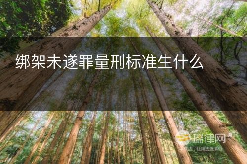 绑架未遂罪量刑标准生什么