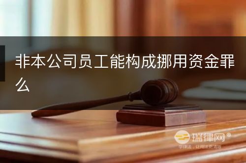 非本公司员工能构成挪用资金罪么