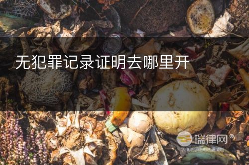 无犯罪记录证明去哪里开