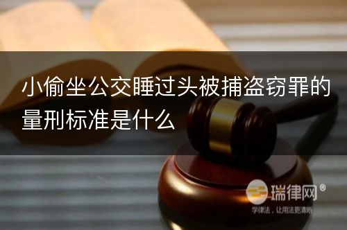 小偷坐公交睡过头被捕盗窃罪的量刑标准是什么