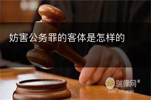 妨害公务罪的客体是怎样的