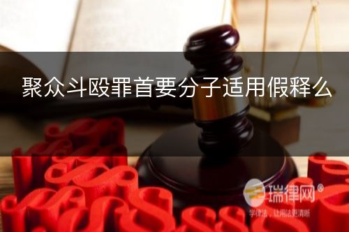 聚众斗殴罪首要分子适用假释么