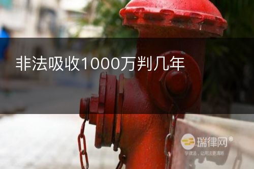 非法吸收1000万判几年