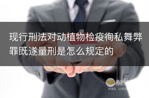 现行刑法对动植物检疫徇私舞弊罪既遂量刑是怎么规定的