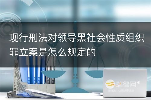 现行刑法对领导黑社会性质组织罪立案是怎么规定的