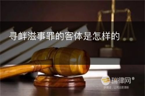 寻衅滋事罪的客体是怎样的