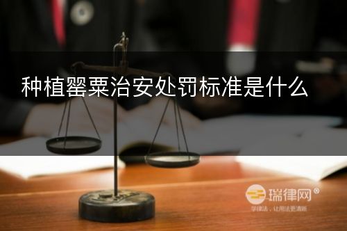 种植罂粟治安处罚标准是什么