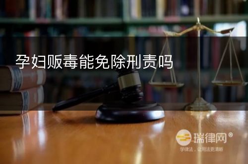 孕妇贩毒能免除刑责吗