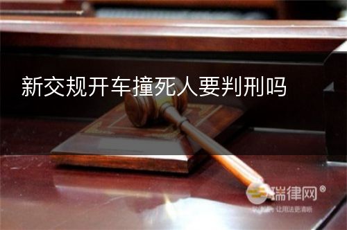 新交规开车撞死人要判刑吗