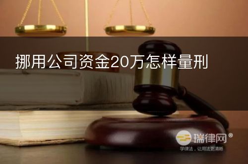 挪用公司资金20万怎样量刑