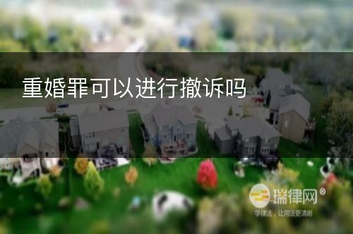 重婚罪可以进行撤诉吗