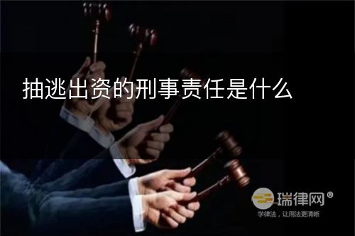 抽逃出资的刑事责任是什么