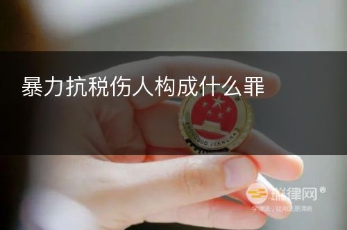 暴力抗税伤人构成什么罪