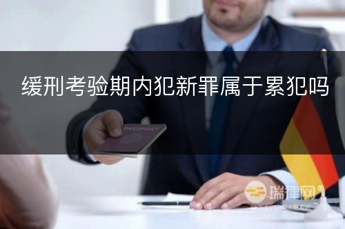 缓刑考验期内犯新罪属于累犯吗