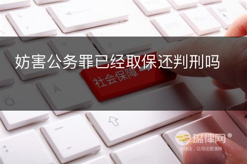 妨害公务罪已经取保还判刑吗