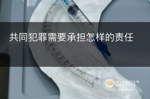 共同犯罪需要承担怎样的责任