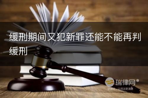 缓刑期间又犯新罪还能不能再判缓刑