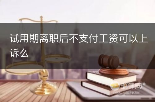 试用期离职后不支付工资可以上诉么