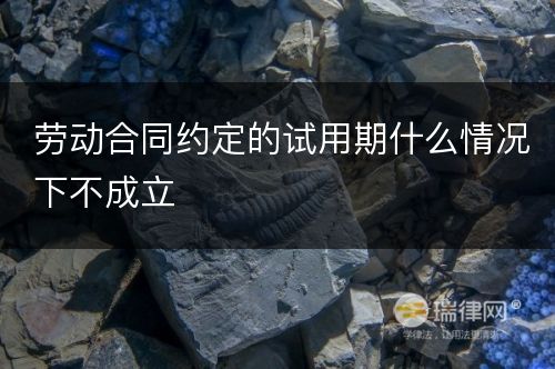 劳动合同约定的试用期什么情况下不成立