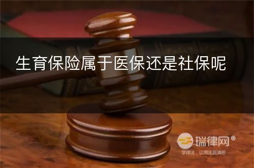 生育保险属于医保还是社保呢