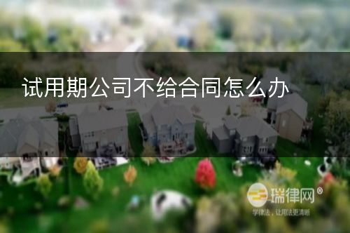 试用期公司不给合同怎么办