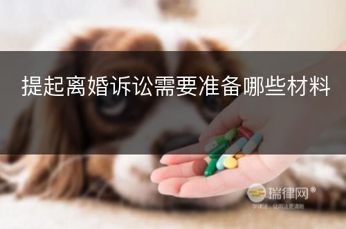 提起离婚诉讼需要准备哪些材料