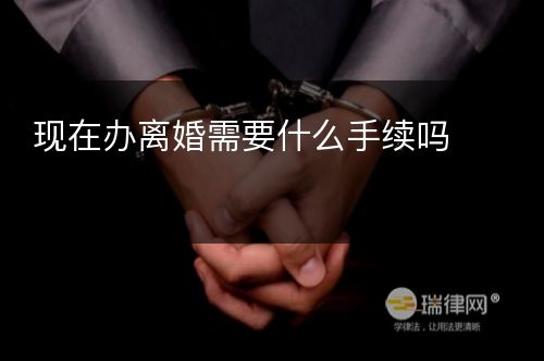 现在办离婚需要什么手续吗